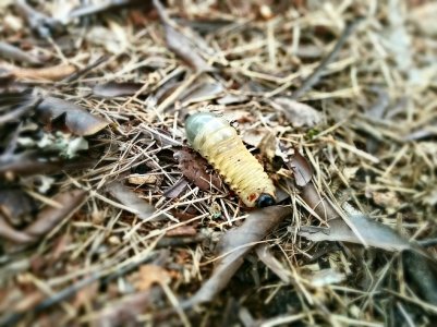IMG_20140421_073334[1].jpg