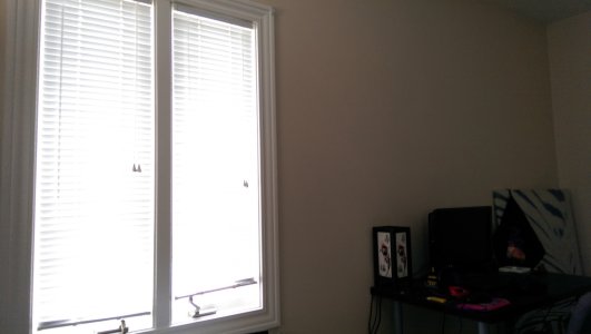 IMAG0040.jpg