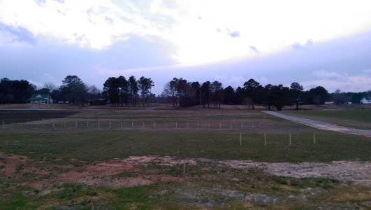 IMAG0014.jpg