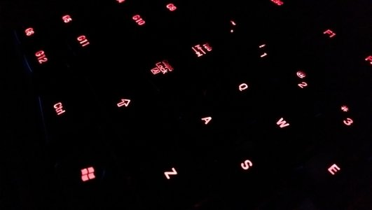 IMAG0021.jpg