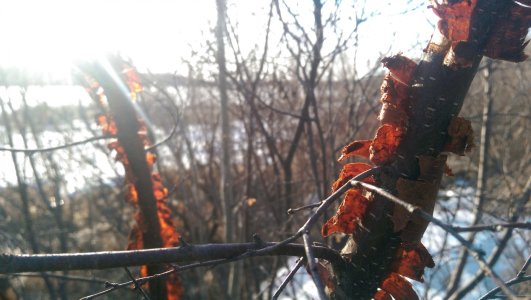 2014-04-21 18.25.55.jpg