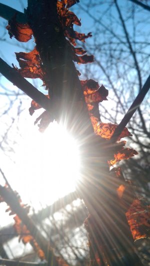 2014-04-21 18.28.58.jpg