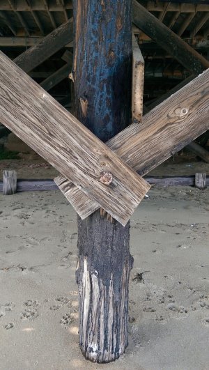 IMAG0150-X2.jpg