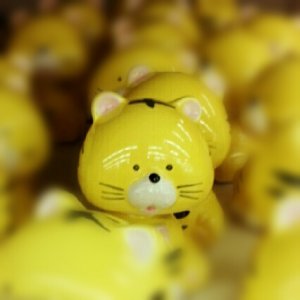 tigre.jpg