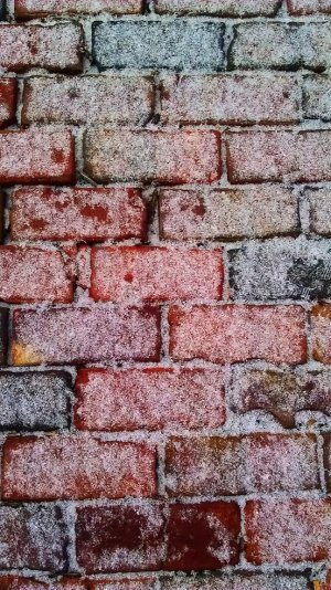bricks ann arbor.jpg