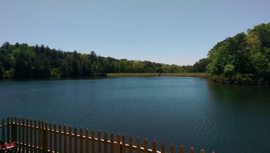IMAG0009.jpg
