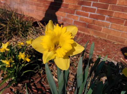 2014-03-25 17.42.11.jpg