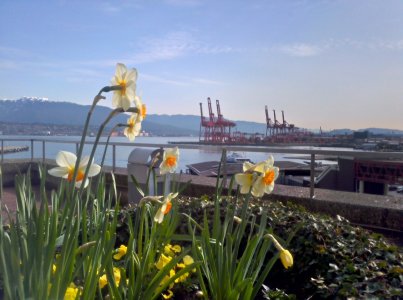 2012-04-09_10-17-06_HDR.jpg