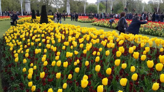 20140418_113944.jpg