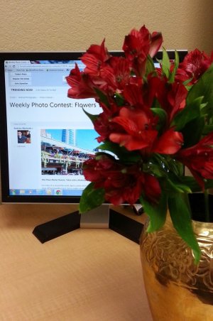 Flowers.jpg