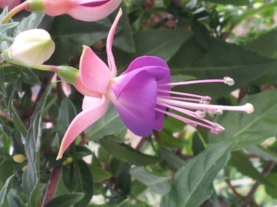 20120527_170214.jpg