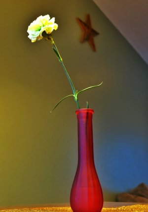 DSC00076_1.jpg
