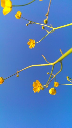 IMAG0685.jpg