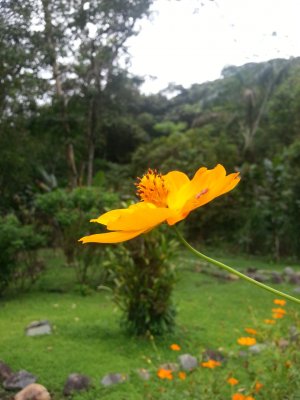 20131116_115612.jpg
