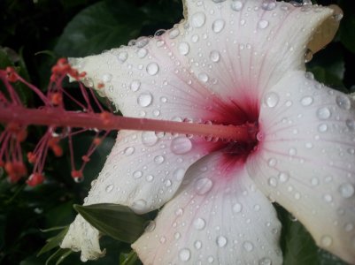 20121101_102816.jpg