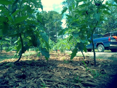 CameraZOOM-20120426125615263.jpg