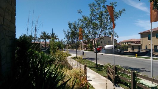 IMAG0047.jpg