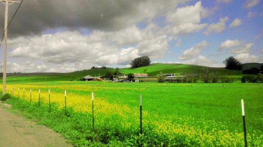 Petaluma.jpg