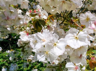 image_6.jpg