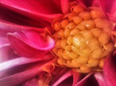 8950291340_cd245b3119_o.jpg