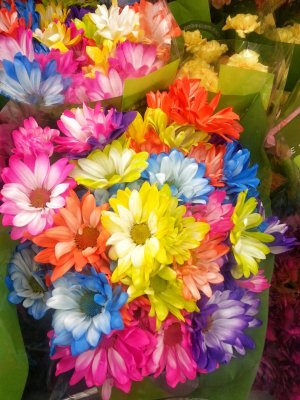 20131125_flowers.jpg