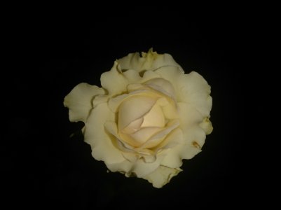DSC_0747.jpg