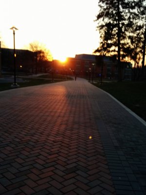 IMG_20140410_192225_1.jpg