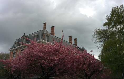 2014-04-08 16.59.36.jpg
