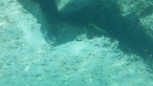 Turks-and-Caicos 048.jpg