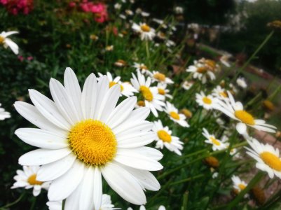 20130711_194954_1_1.jpg