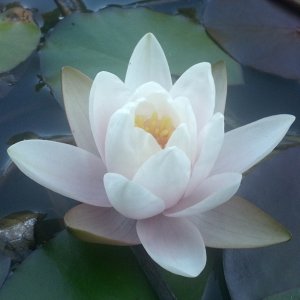 2013-08-14_1376446061.jpg