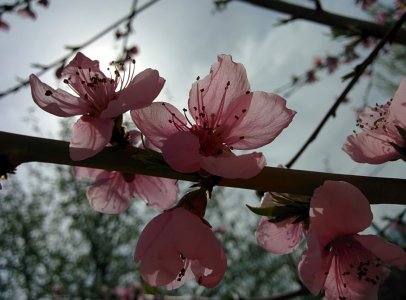 2014-04-10 11.54.12.jpg