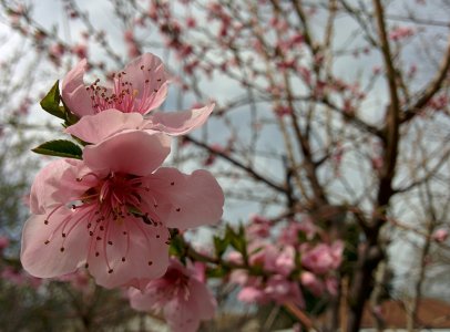 2014-04-10 11.55.17.jpg