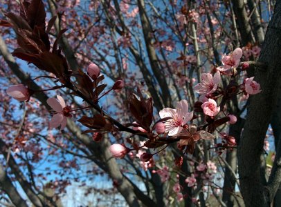 2014-04-10 09.42.18.jpg