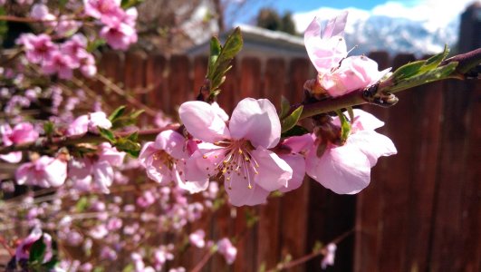 IMAG0051.jpg