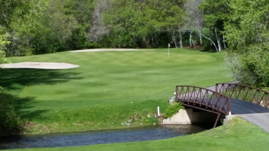 par 3 zoomed.jpg