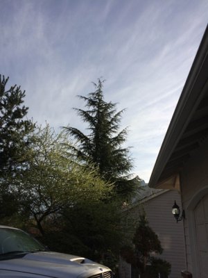 photo2.jpg
