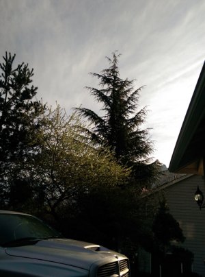 IMAG0125.jpg