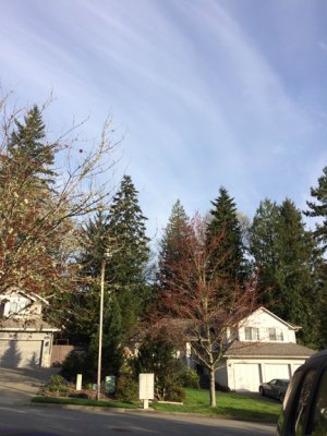 photo3.jpg