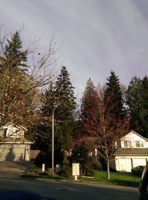 IMAG0127.jpg