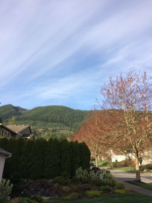 photo4.jpg