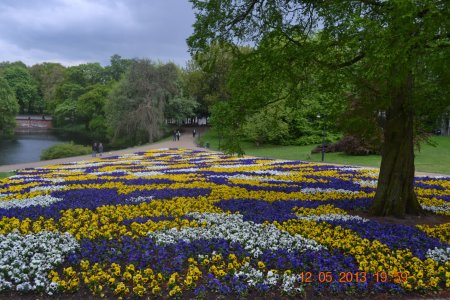 IMAG0104.jpg