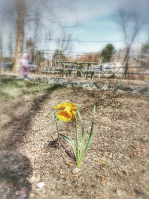 20140420_092723.jpg