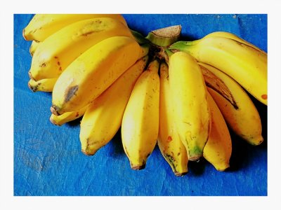 Summer Banana.jpg