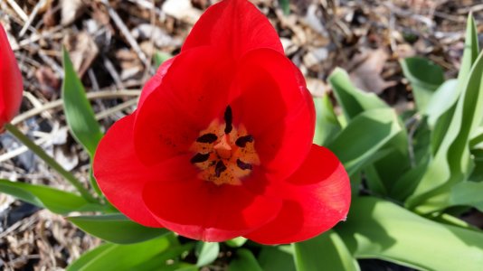 20140411_161121.jpg