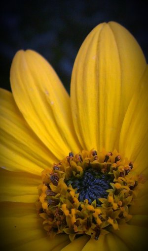 IMAG0205-1-2.jpg