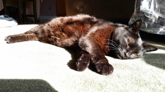 20140412_085436.jpg