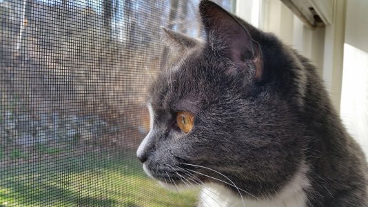 20140412_170207.jpg