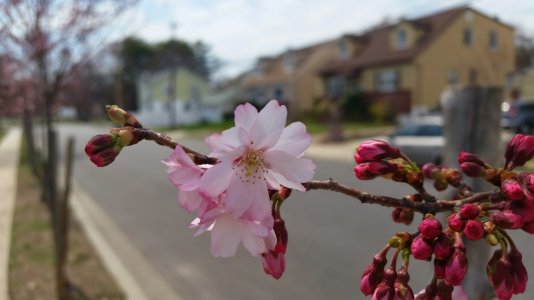 20140412_131352.jpg