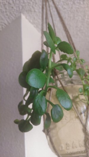 IMAG0023.jpg